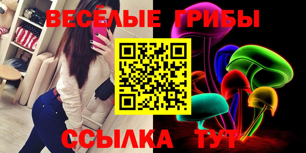 Галлюциногенные грибы GOLDEN TEACHER Нальчик