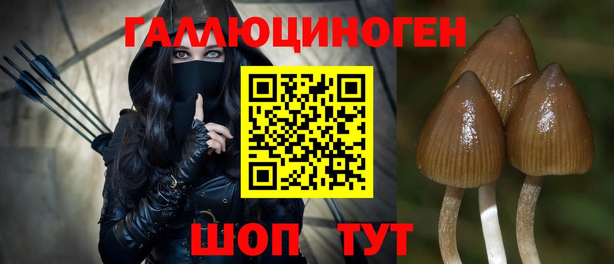 Галлюциногенные грибы прущие грибы  Вход с VPN  Нальчик 