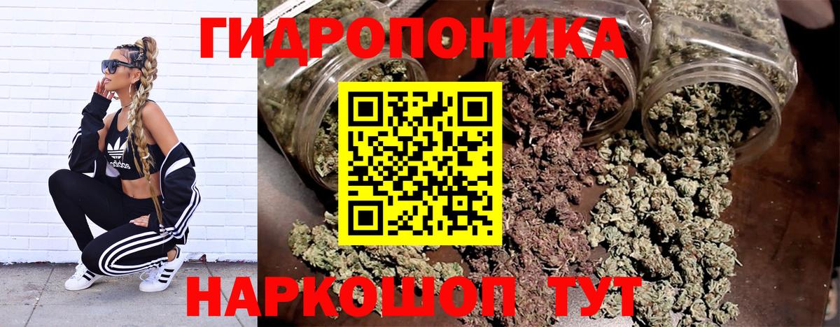 МАРИХУАНА OG Kush  Вход с VPN  Марихуана White Widow  Конопля OG Kush  Нальчик  Шишки марихуана SATIVA & INDICA 
